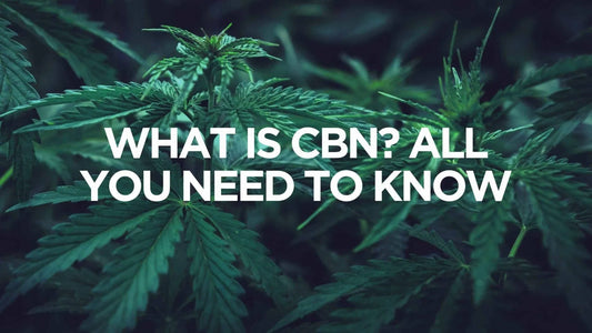 What Is CBN? Unlocking Cannabinol's Unique Health Benefits - Texas Freedom