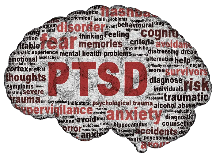 How Does CBD help with PTSD? - Texas Freedom