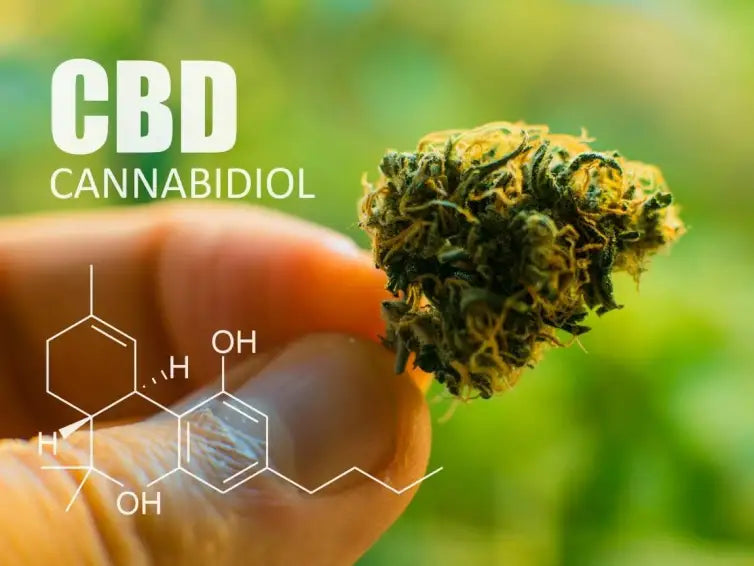 What is CBD? Learn Its Benefits, Uses, and Differences from THC - Texas Freedom